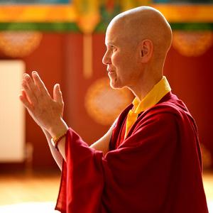 lhamo23