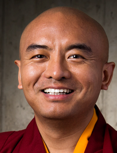 mingyur rinpoche schedule tergar connected stay