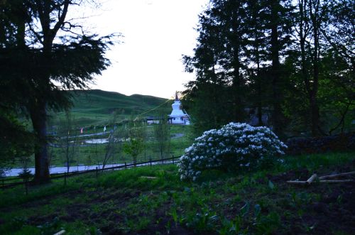 James View From Garden