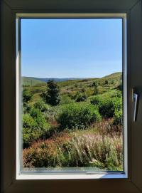 View from window